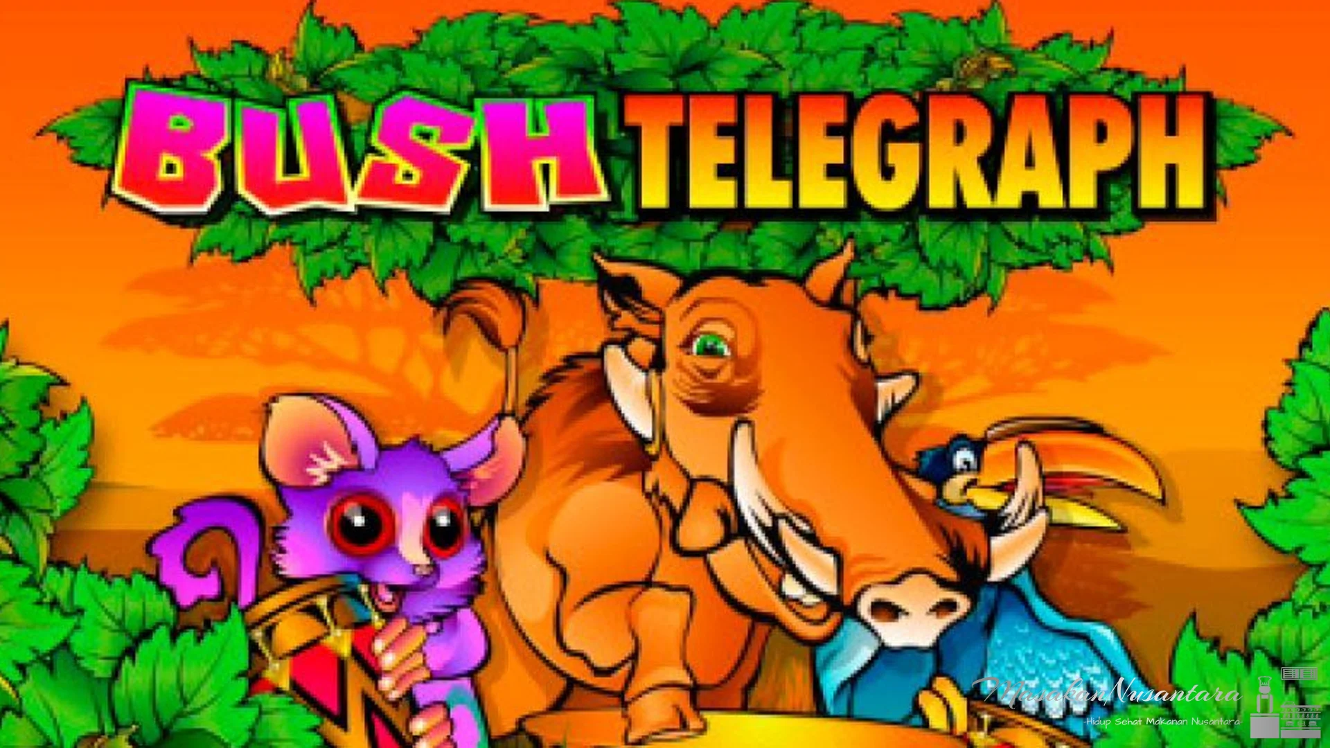 Dari Rumor ke Trending, Bush Telegraph Punya 5 Kisah Unik