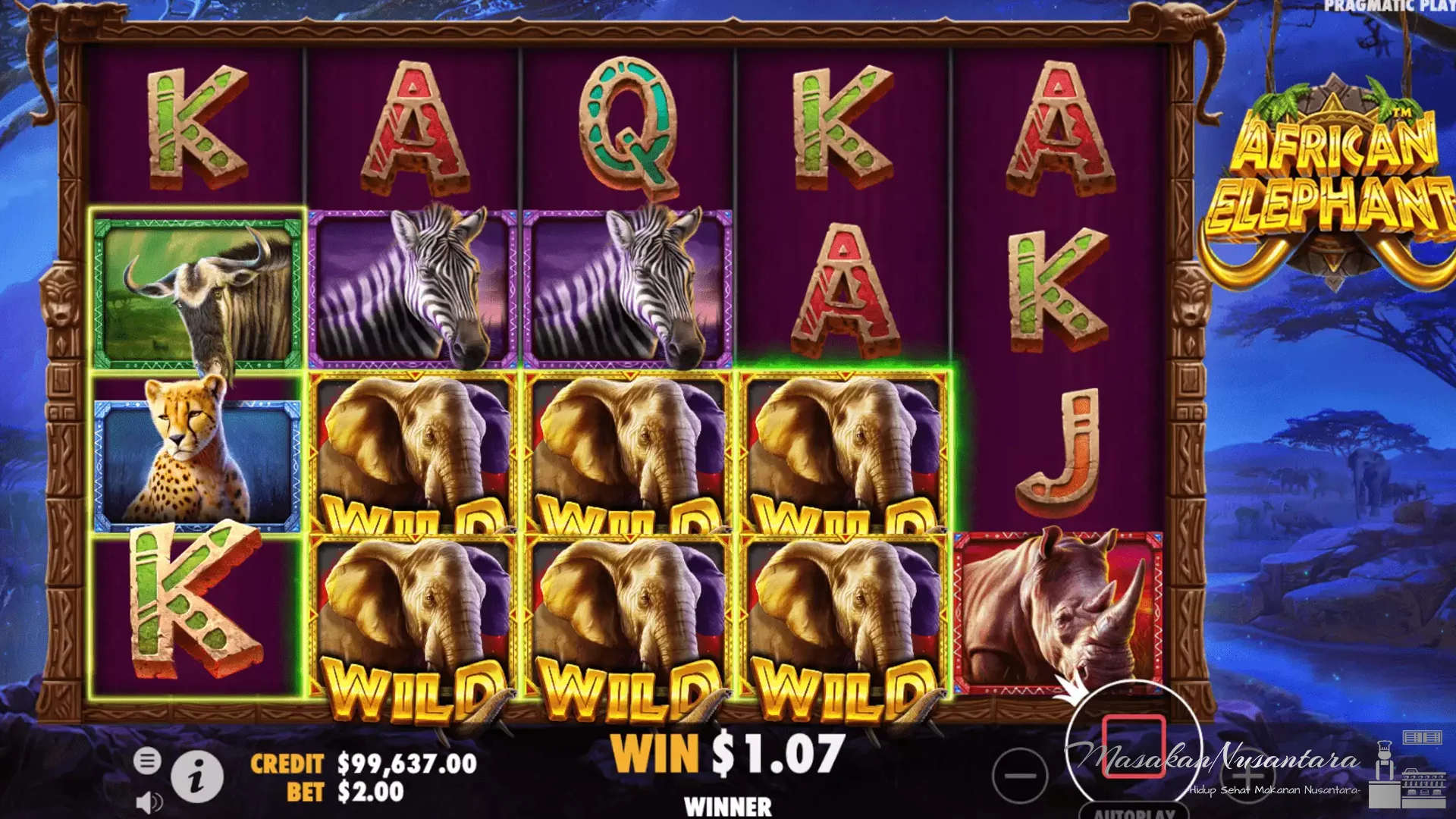 Sejarah African Elephant & 5 Perubahan Asli Populasi Selama Abad Ini