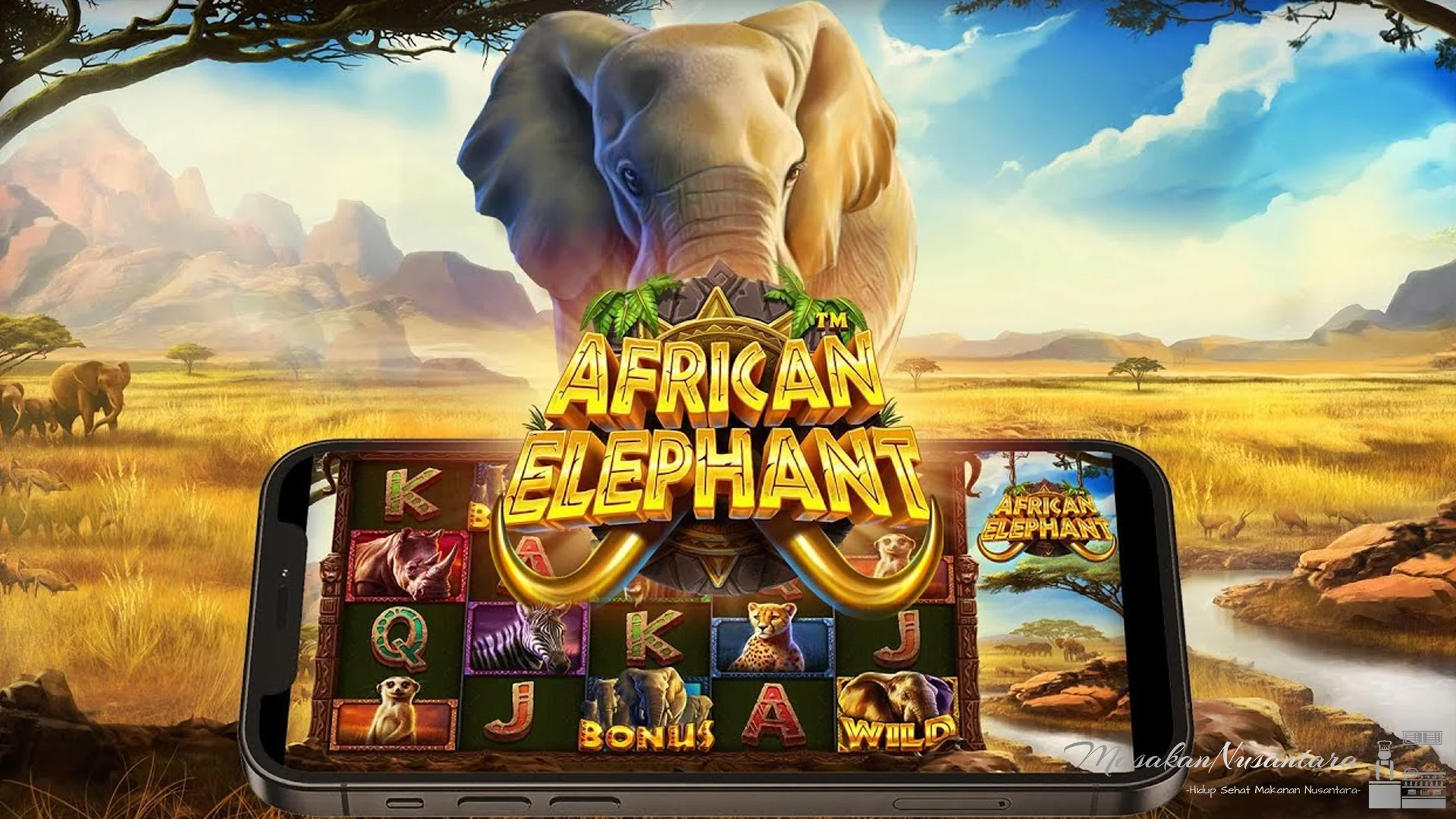 Sejarah African Elephant & 5 Perubahan Asli Populasi Selama Abad Ini